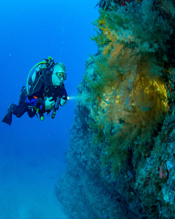 Diver lights up black coral in Lanzarote