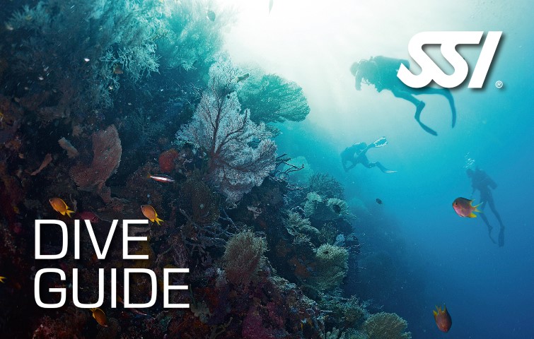 Lanzarote Dive Centre SSI Dive Guide Course